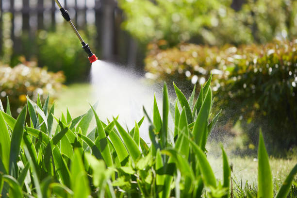 Tamper-Resistant Bait Stations for Rodents in Fairmount