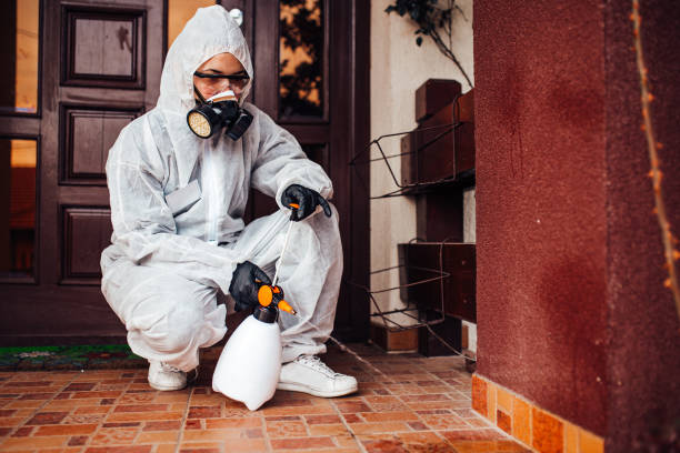 Attic and Crawl Space Rodent Treatment in Fairmount