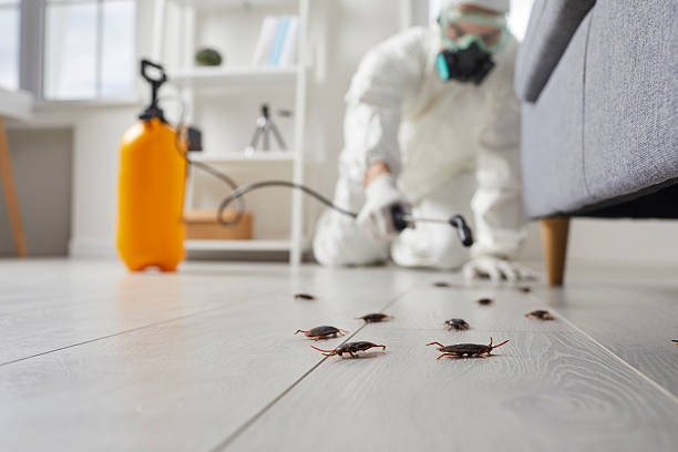 Commercial Rodent Management in Fairmount